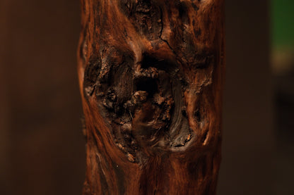 Detailed macro view focusing on a complex dark swirling knot cavity located midway down the vertical wooden branch trunk. 