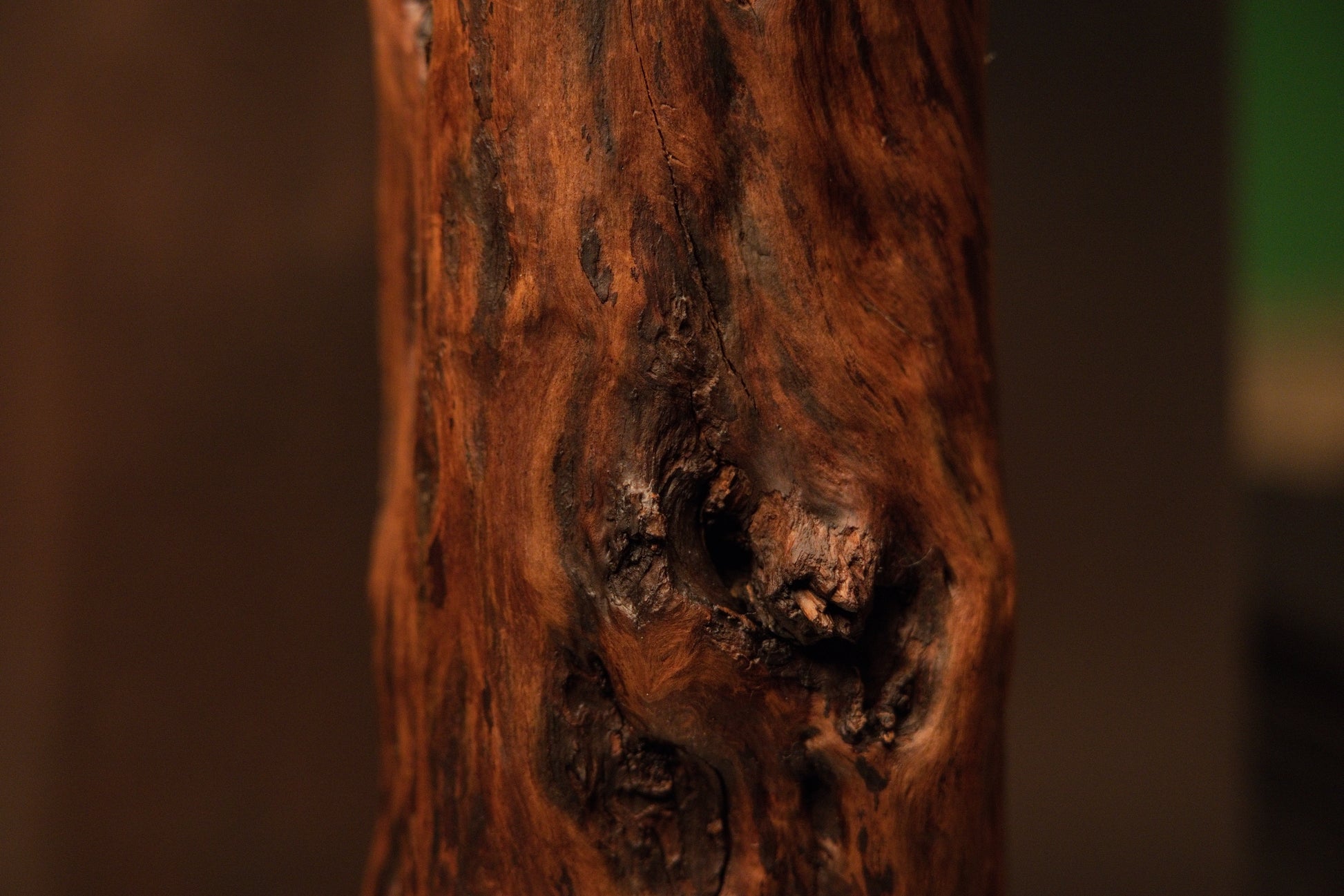 Macro view of the textured woody surface featuring rich amber and dark brown grain patterns around a central knot structure. 