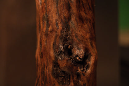 Macro view of the textured woody surface featuring rich amber and dark brown grain patterns around a central knot structure. 
