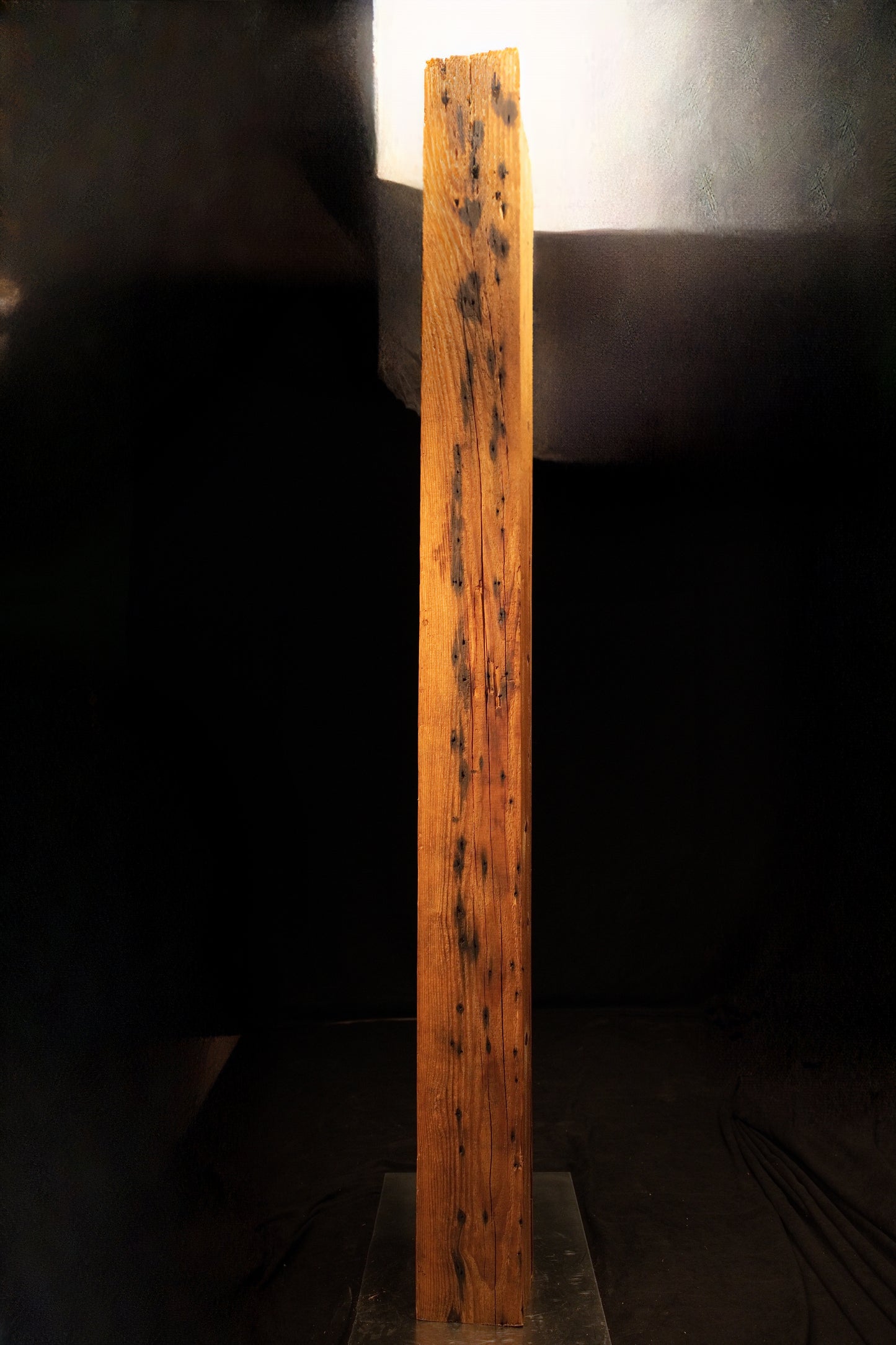 Full vertical elevation view of a tall climate-stable structural timber beam featuring dense linear grain and dark knots. 