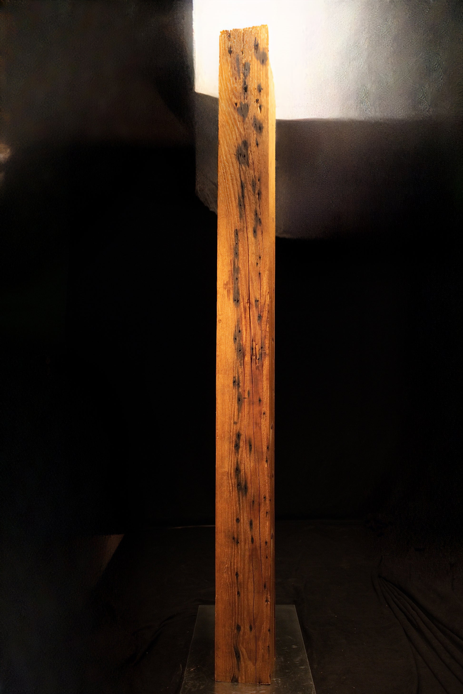 Full vertical elevation view of a tall climate-stable structural timber beam featuring dense linear grain and dark knots. 