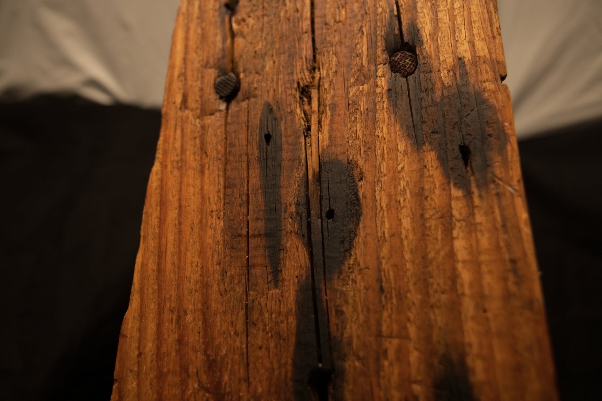 Close-up detail view of a museum-grade biophilic timber element featuring dark oxidation stain patches and pinholes. 