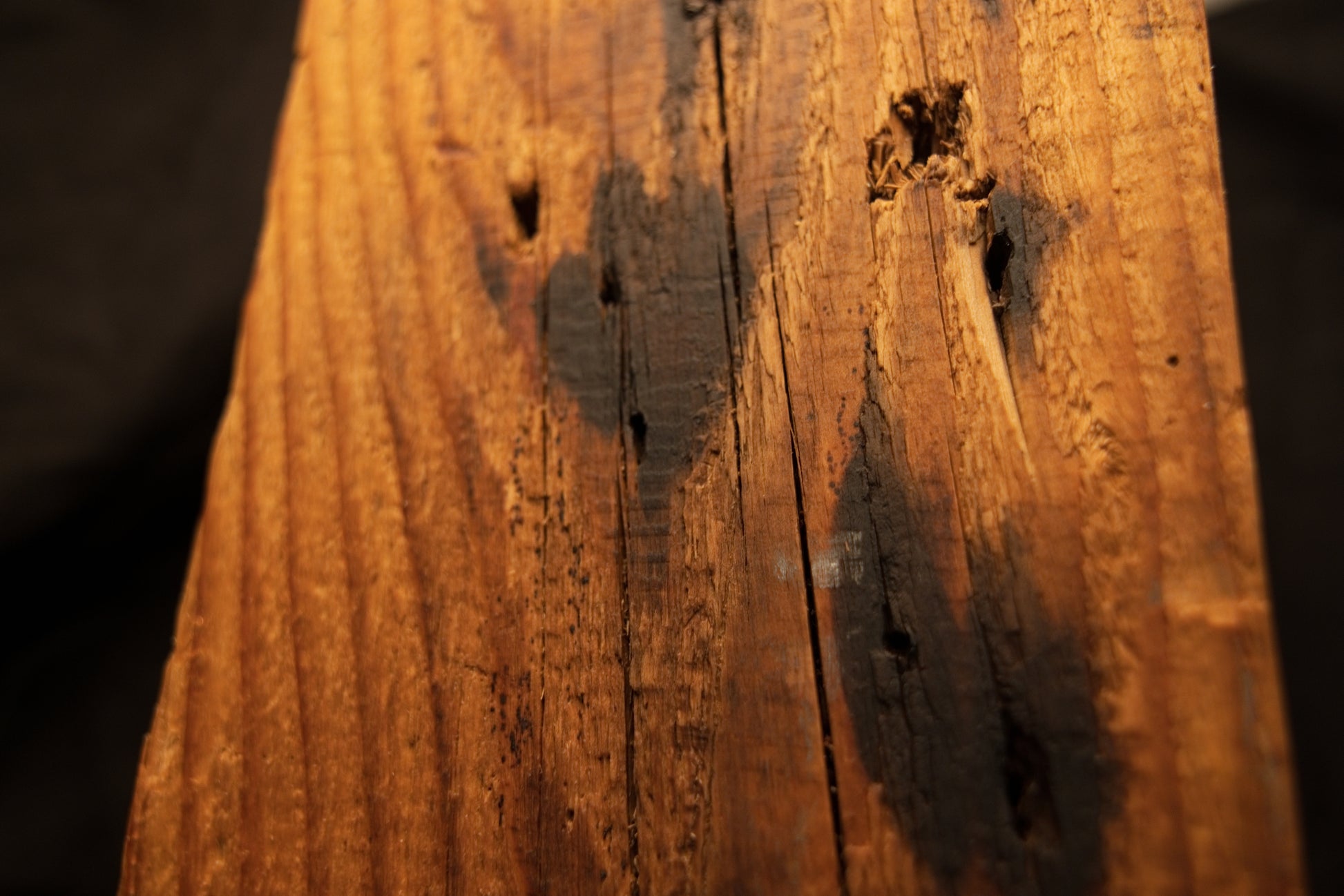 Macro photograph showing prominent oxidized dark stain patches and surface checking across a structural timber face. 