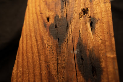 Macro photograph showing prominent oxidized dark stain patches and surface checking across a structural timber face. 