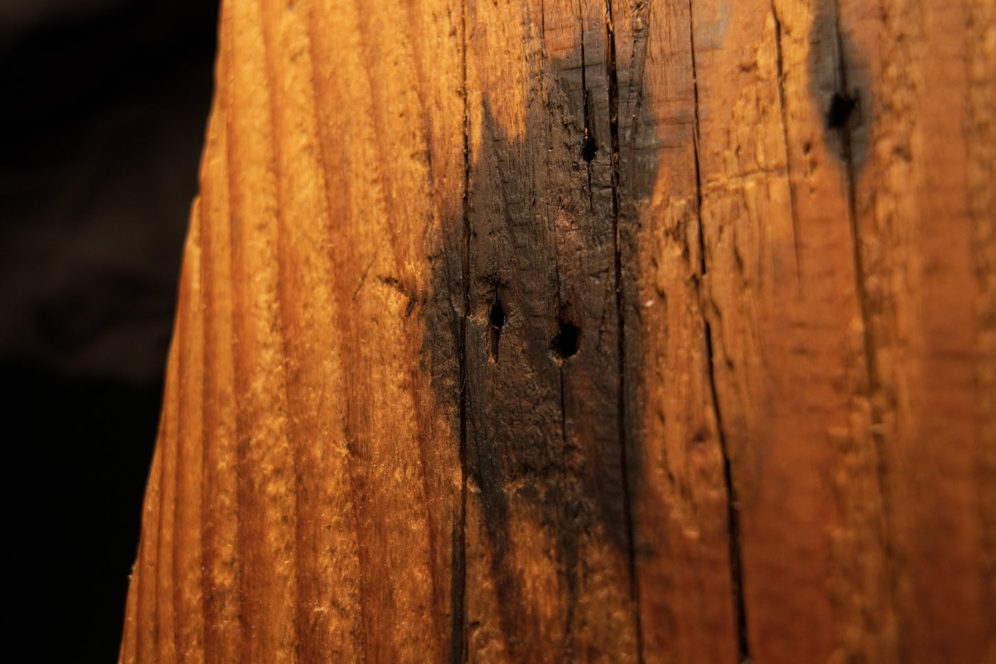 Detailed extreme close-up of a dark oxidation patch with small pinholes embedded in vertical golden wood grain. 