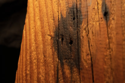 Detailed extreme close-up of a dark oxidation patch with small pinholes embedded in vertical golden wood grain. 