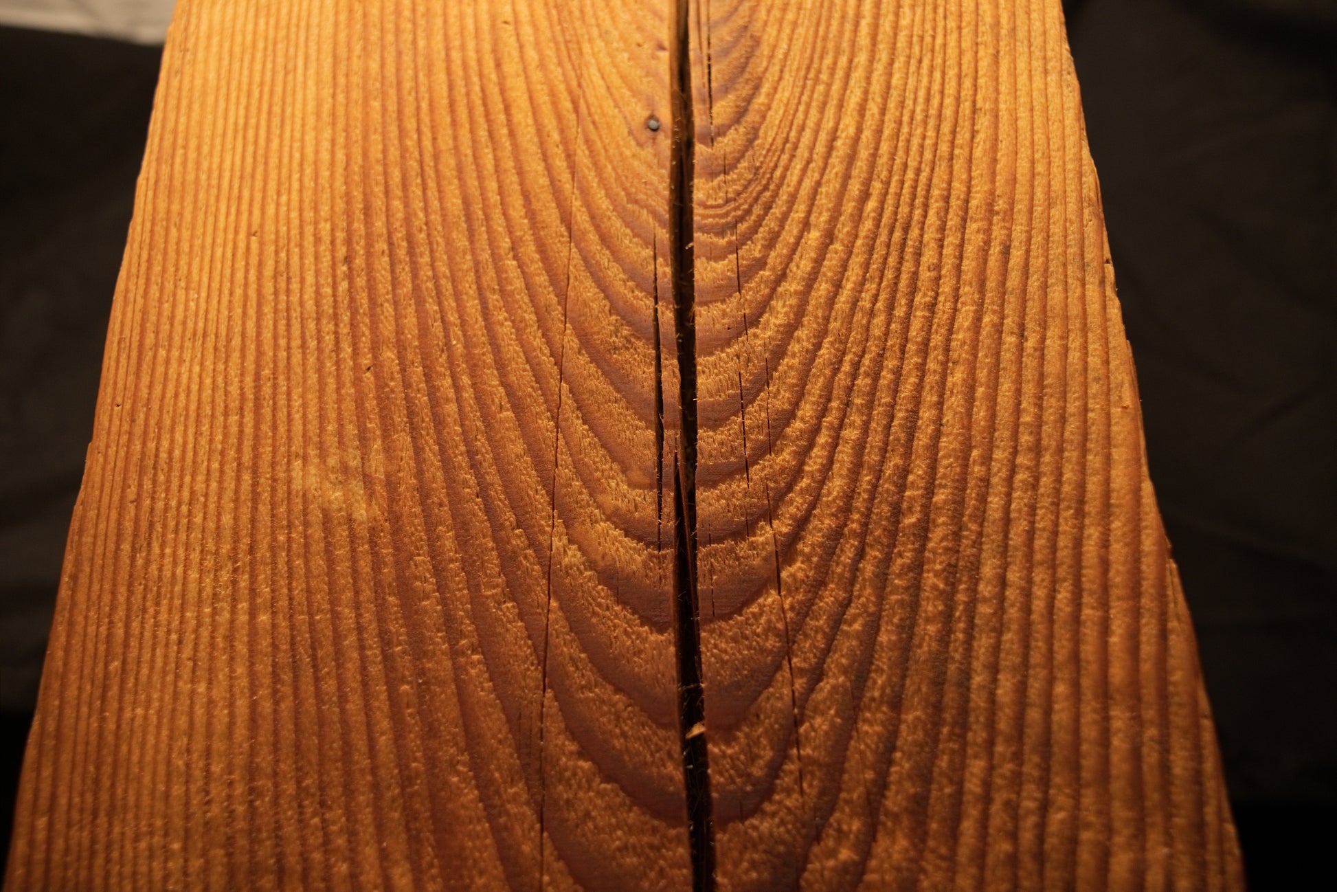 Detailed macro shot capturing swirling parabolic cathedral grain curves framing a central split in a timber piece. 