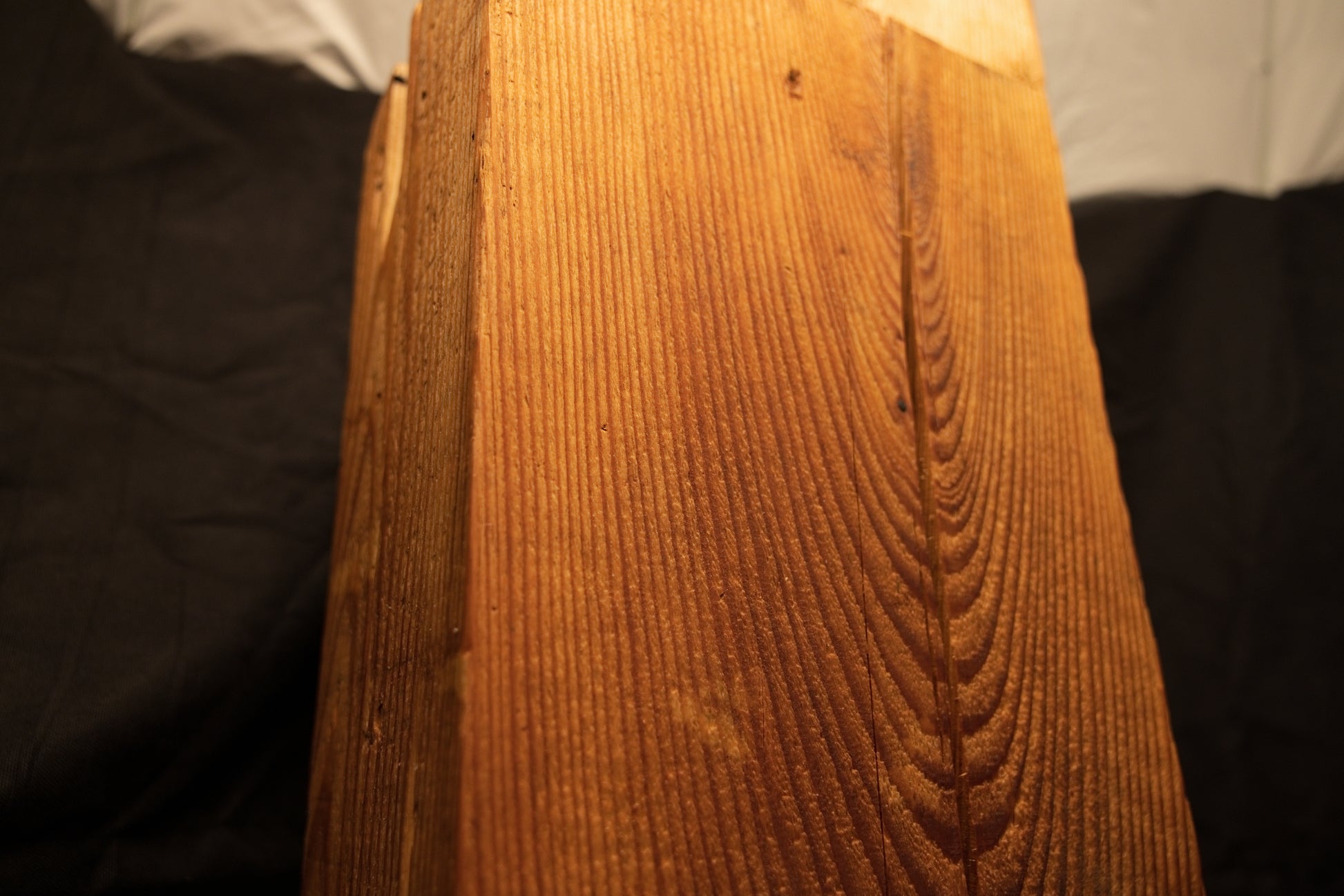 Detailed macro view of tight parabolic grain loops curving symmetrically toward a vertical fissure on a timber face. 