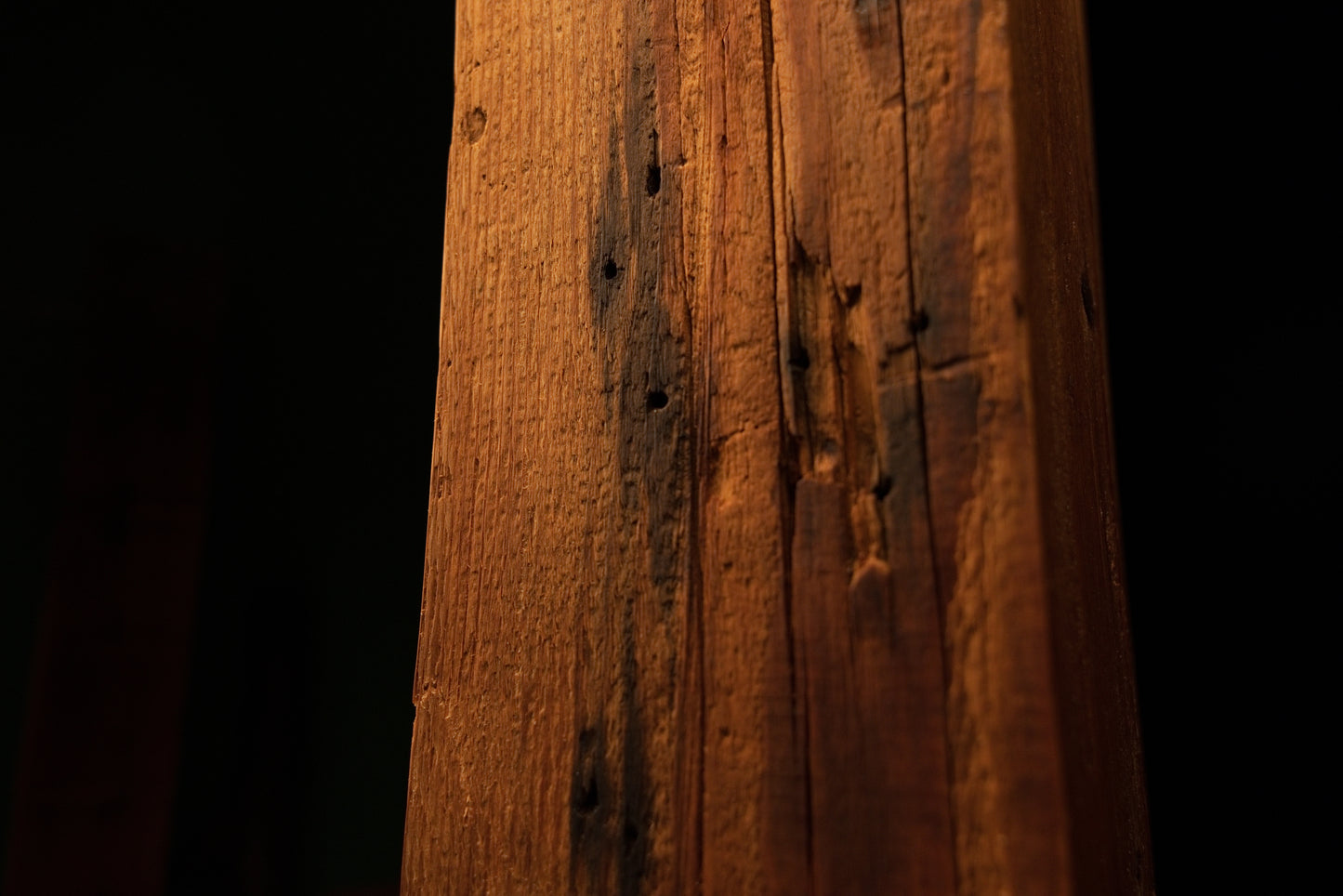 Detailed macro photograph of weathered timber texture featuring dark pinholes and minor surface pitting along grain. 