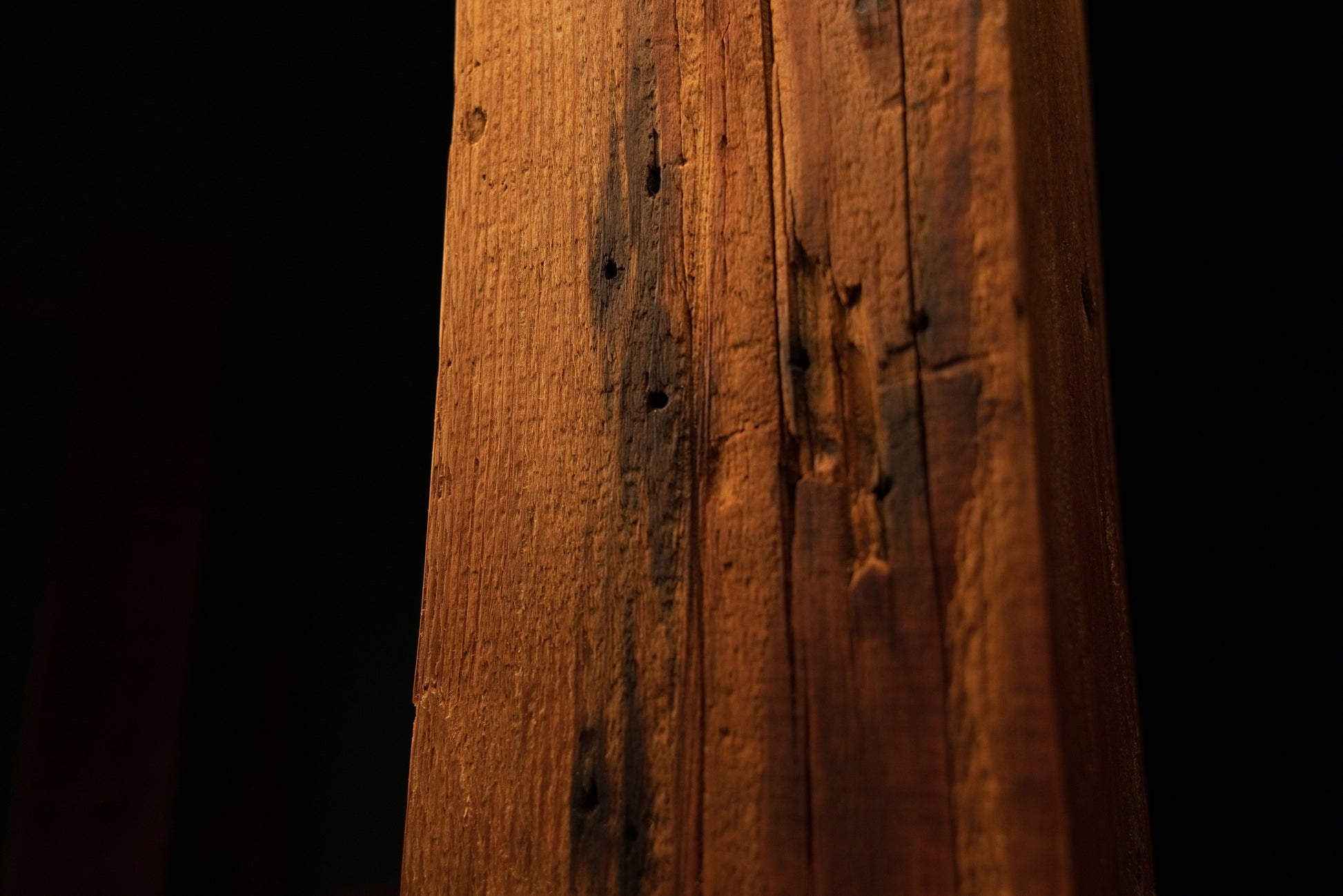 Detailed macro photograph of weathered timber texture featuring dark pinholes and minor surface pitting along grain. 