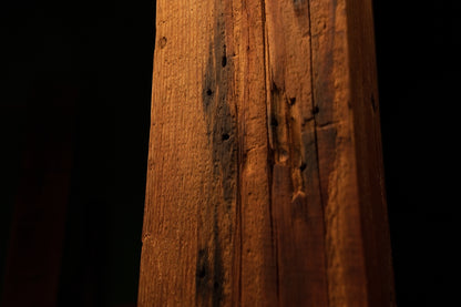 Detailed macro photograph of weathered timber texture featuring dark pinholes and minor surface pitting along grain. 