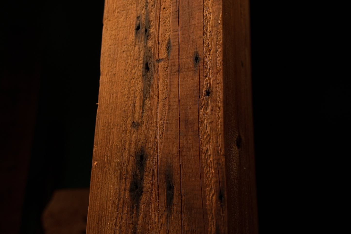Detailed close view of vertical wood grain embedded with several scattered dark pinholes and subtle surface stains. 