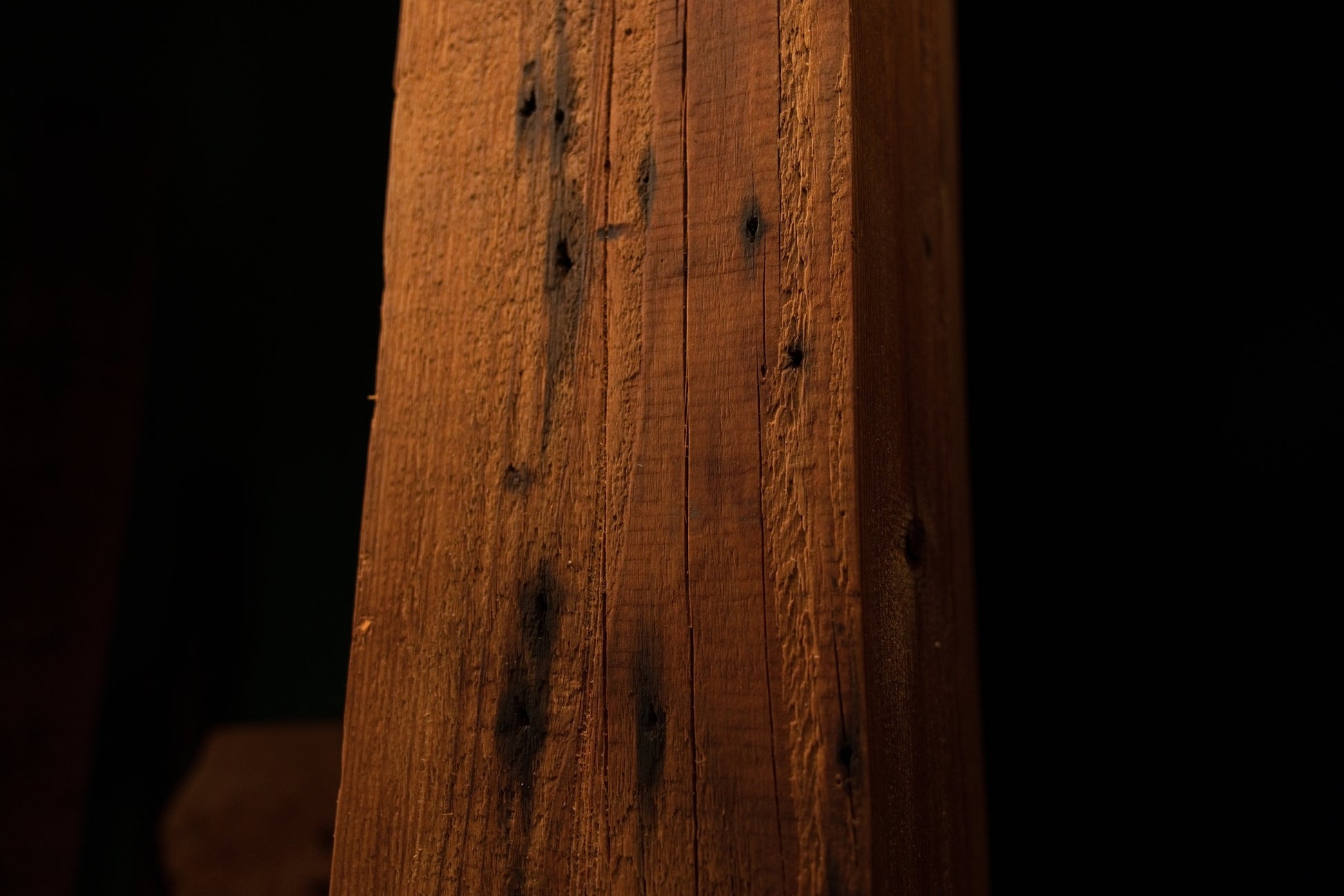 Detailed close view of vertical wood grain embedded with several scattered dark pinholes and subtle surface stains. 