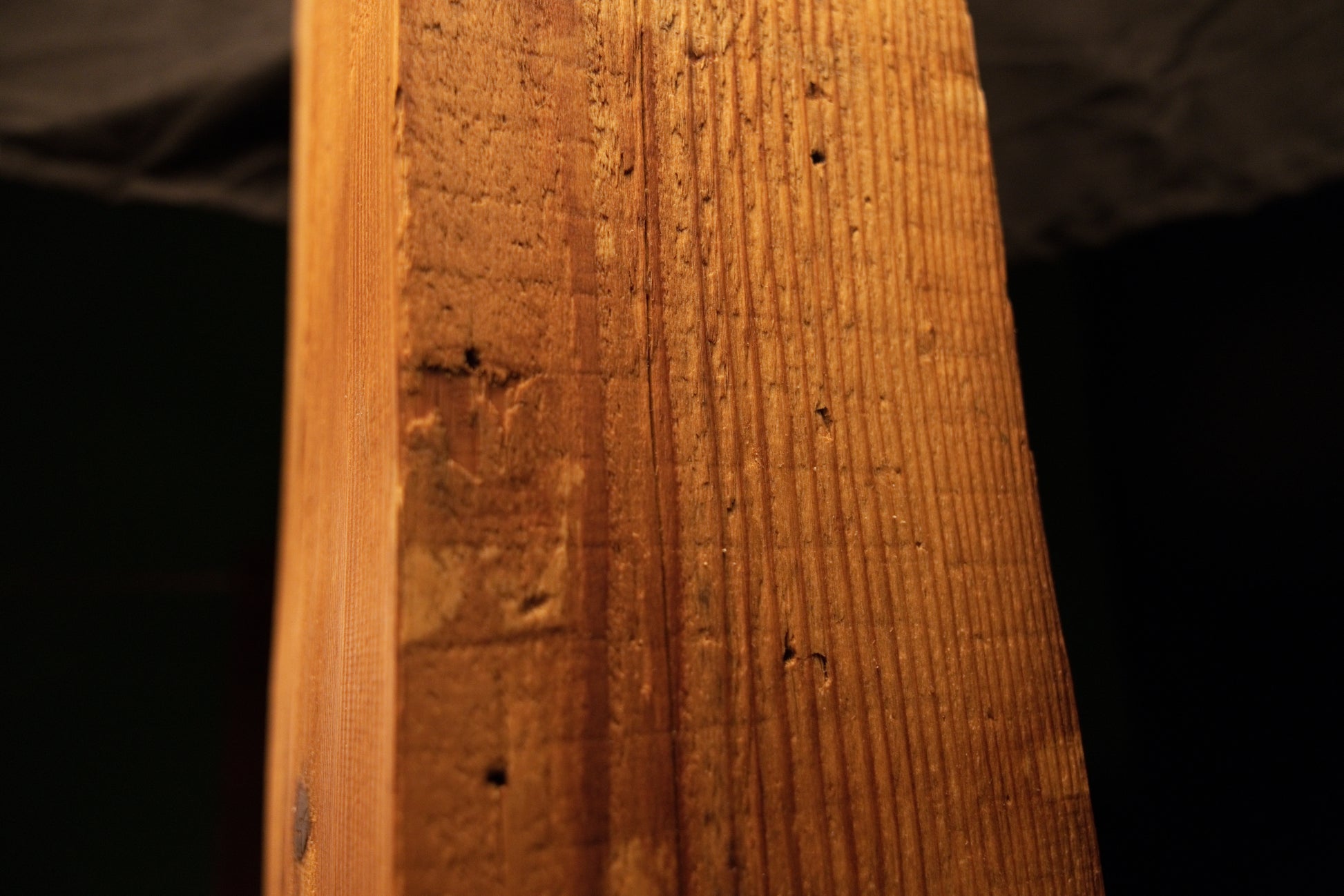 Detailed macro photograph capturing fine linear wood textures and small dark pinholes across a structural timber face. 