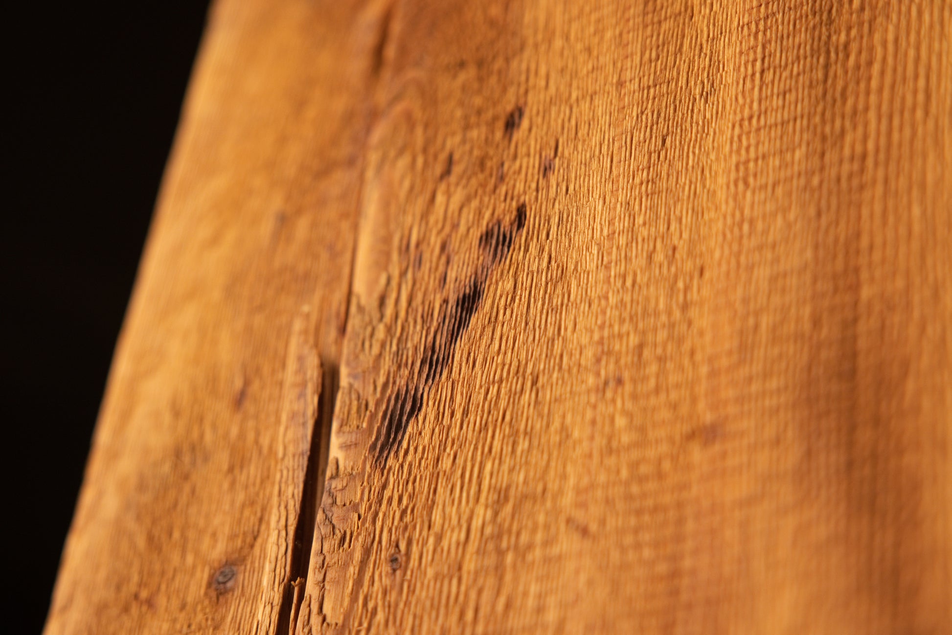 Detailed view of a cluster of dark pinholes and localized staining distributed across the vertical grain of a wooden beam. 