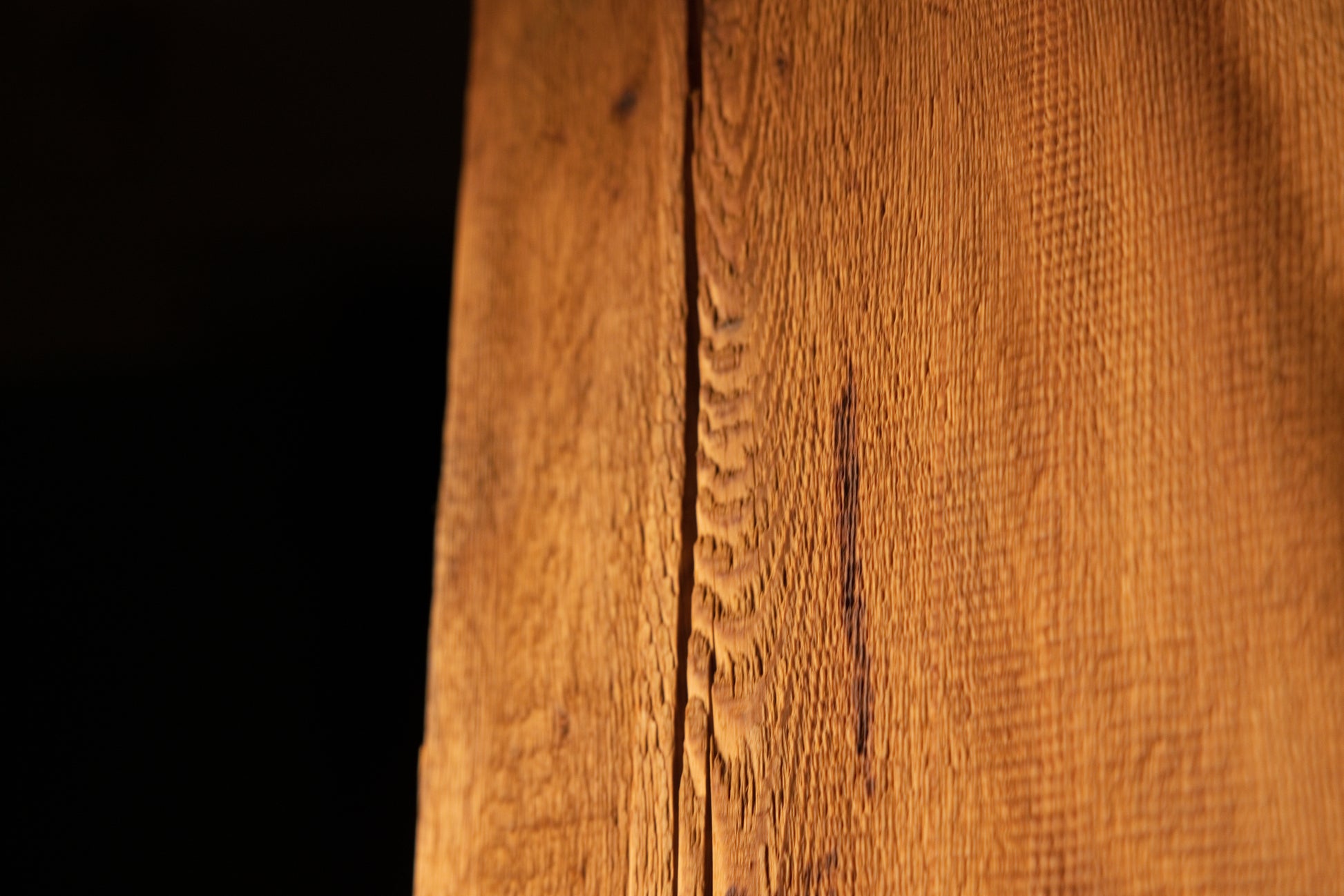 Macro perspective capturing a fine vertical fracture line flanked by dense linear wood fibers on a commercial timber face. 
