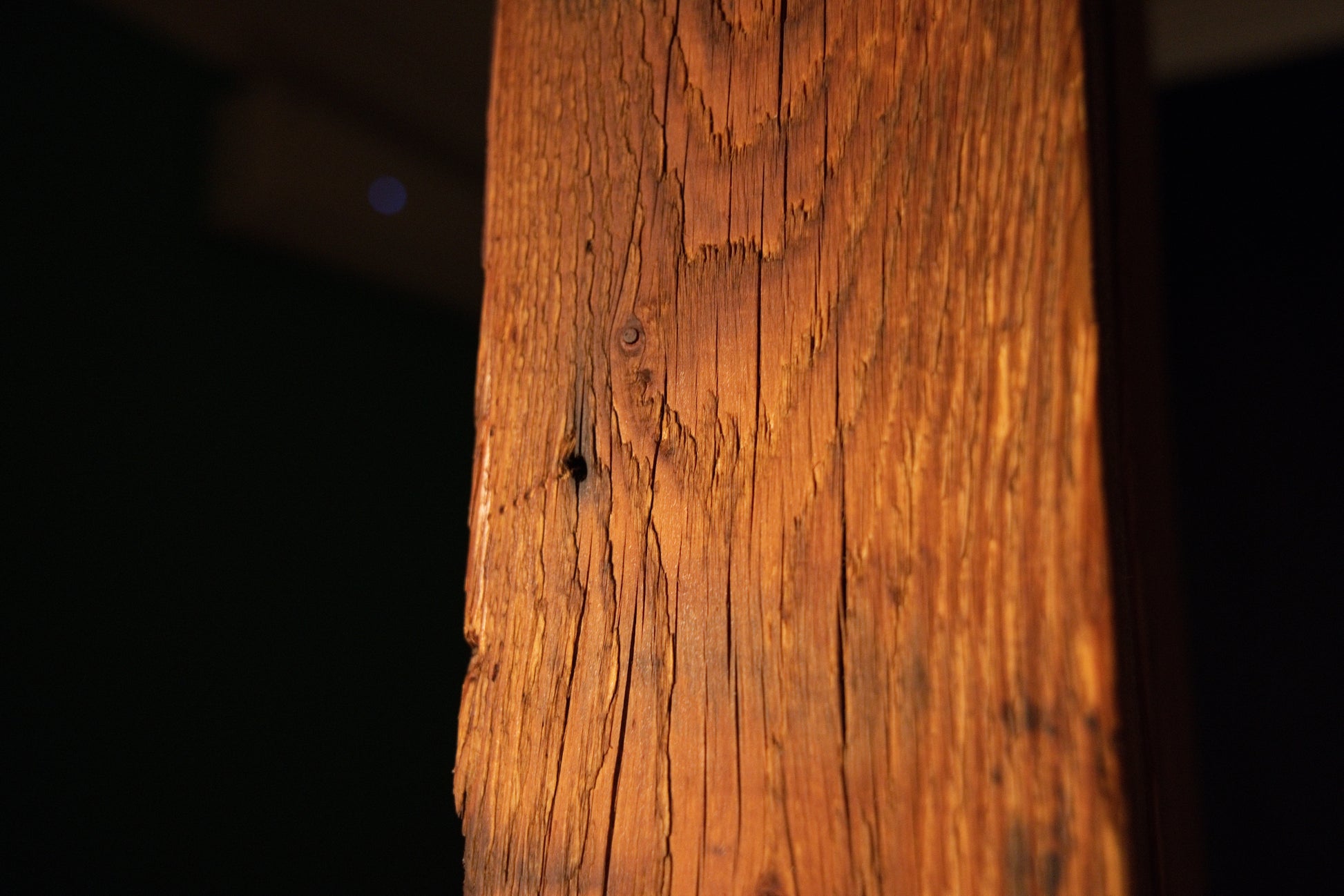 Close-up view of a vertical surface split featuring a small dark knot positioned near the top of a structural timber block. 
