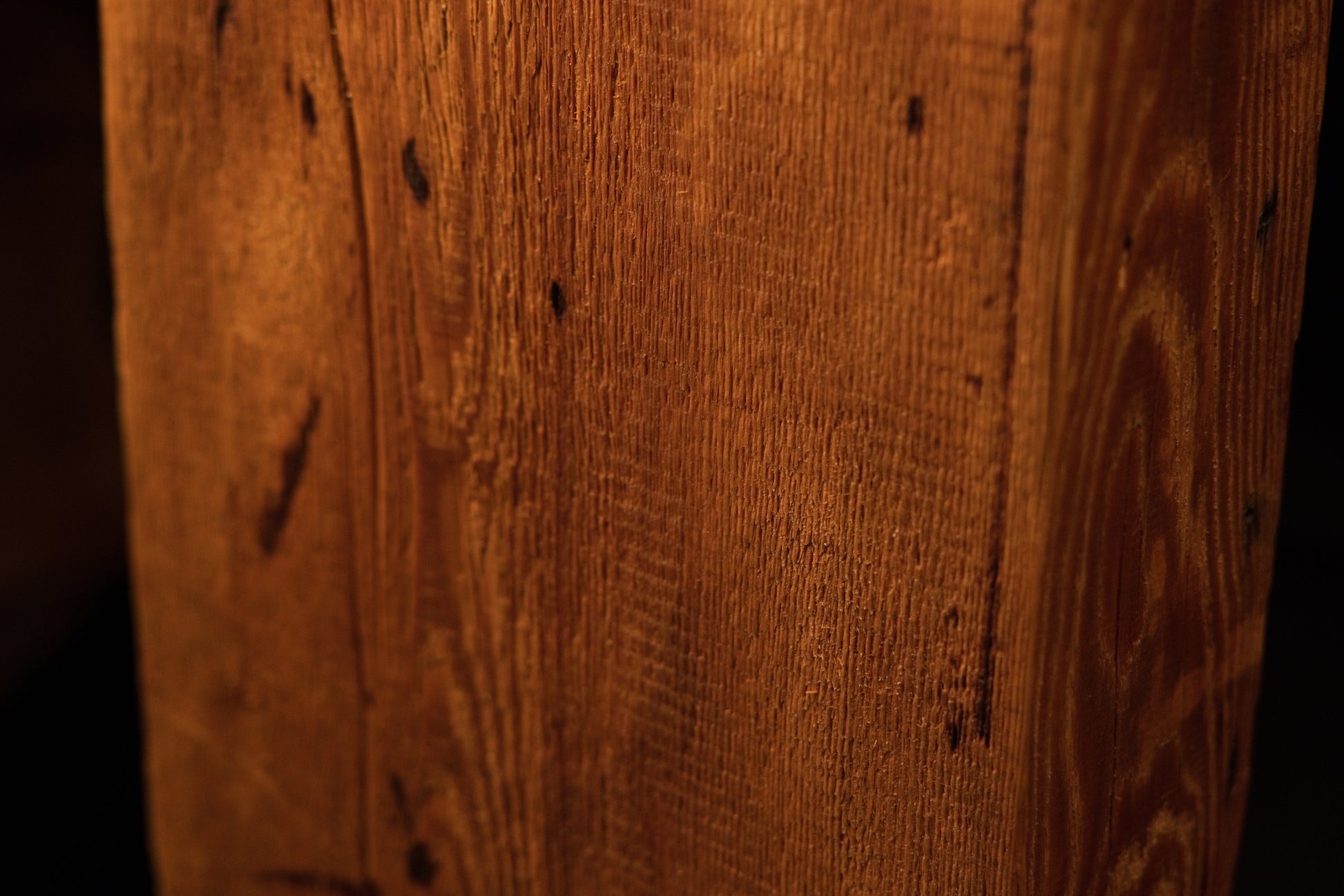 Close-up perspective of linear wood grain embedded with scattered pinholes and a subtle cathedral grain curve on the right. 