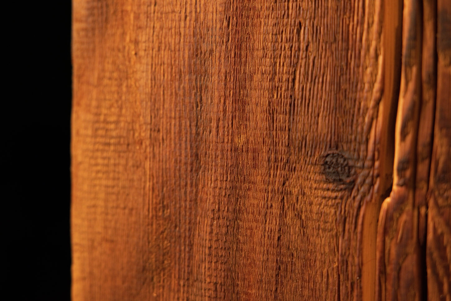 Macro photograph capturing straight vertical grain lines meeting a darker, heavily textured section on the right timber edge. 