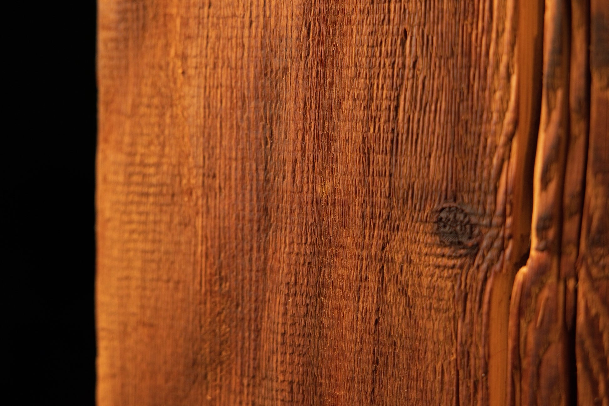 Macro photograph capturing straight vertical grain lines meeting a darker, heavily textured section on the right timber edge. 