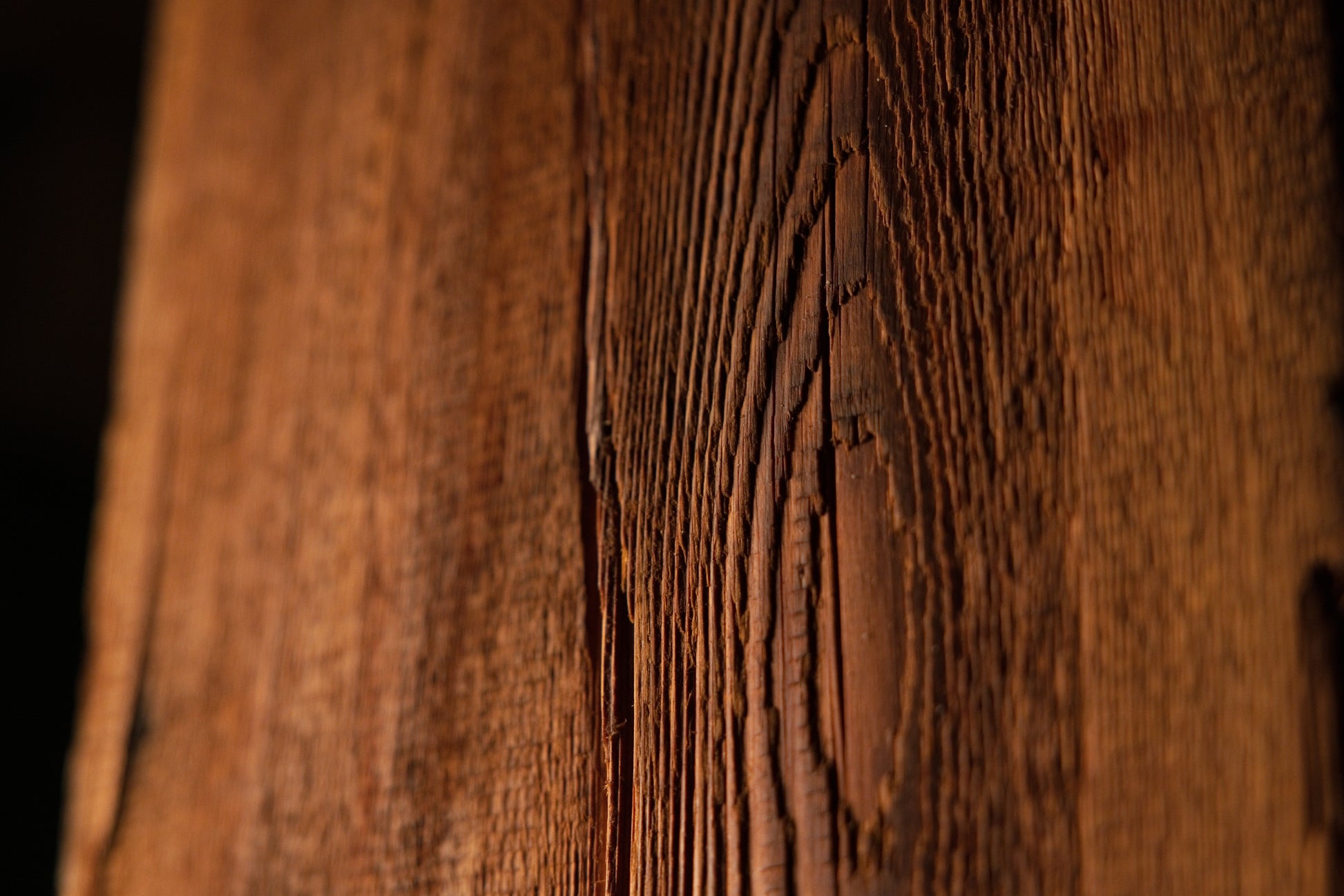 Close-up macro perspective of parabolic cathedral grain loops curving upward around a vertical central axis on a beam face. 