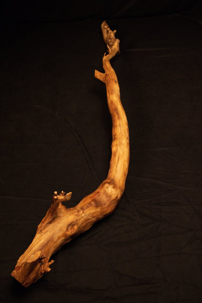 Slightly shifted perspective view of the organic wooden root sculpture highlighting its fluid shape and weathered natural surface. 
