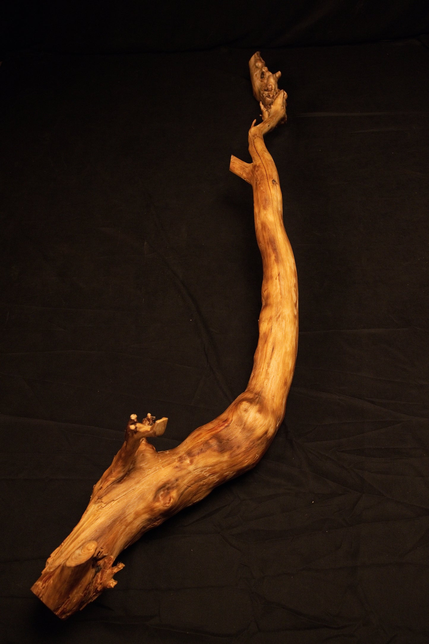 Another angled view of the sculptural wooden root object emphasizing its winding posture against a neutral dark studio backdrop. 