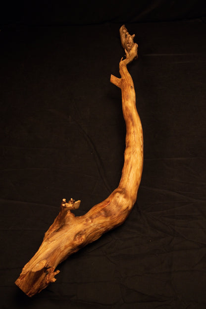 Another angled view of the sculptural wooden root object emphasizing its winding posture against a neutral dark studio backdrop. 