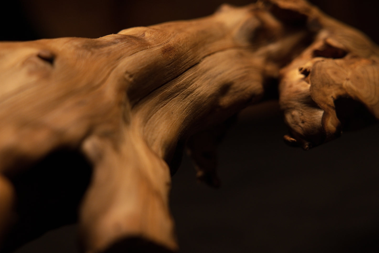 Detailed close-up showing the complex weathered surface texture and natural knot formations along the sculpted wooden root piece. 