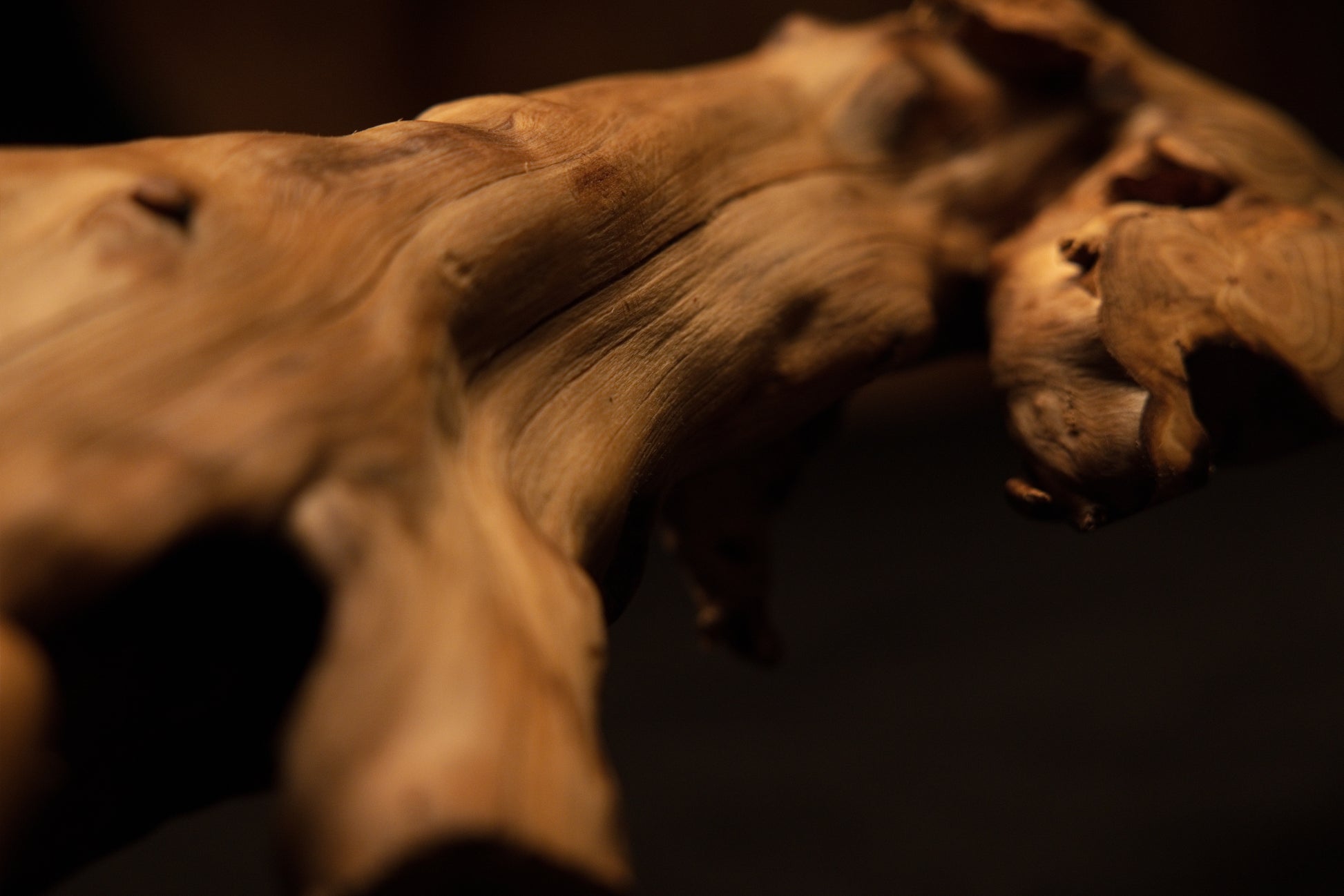 Detailed close-up showing the complex weathered surface texture and natural knot formations along the sculpted wooden root piece. 