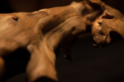 Detailed close-up showing the complex weathered surface texture and natural knot formations along the sculpted wooden root piece. 