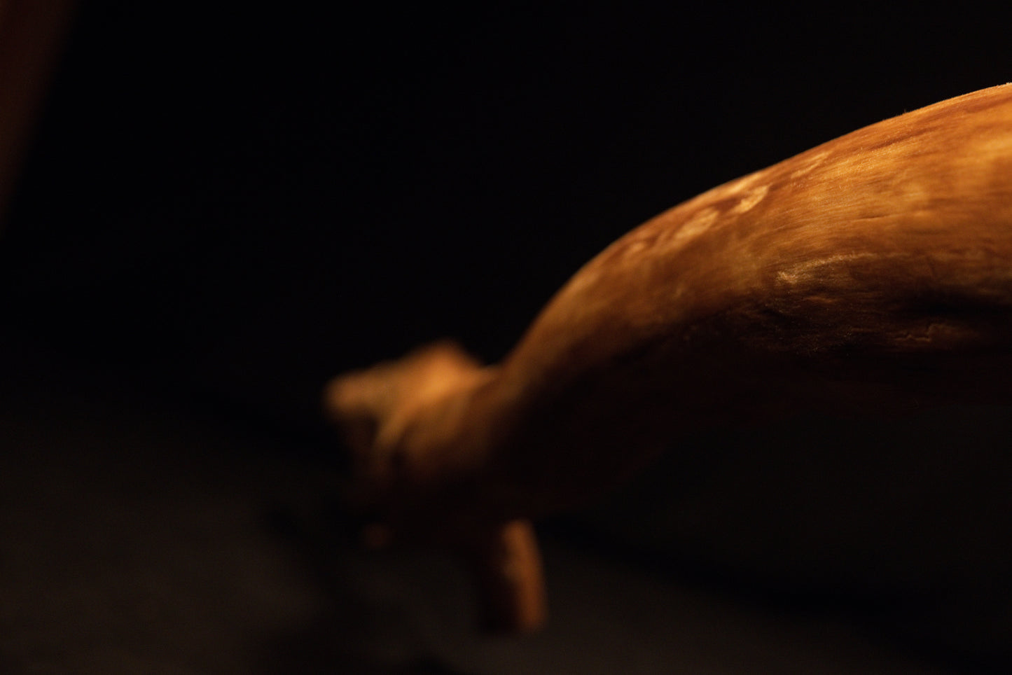 Detailed documentation of the stabilized root's organic grain flow, capturing tactile surface quality and rich warm wood hues. 