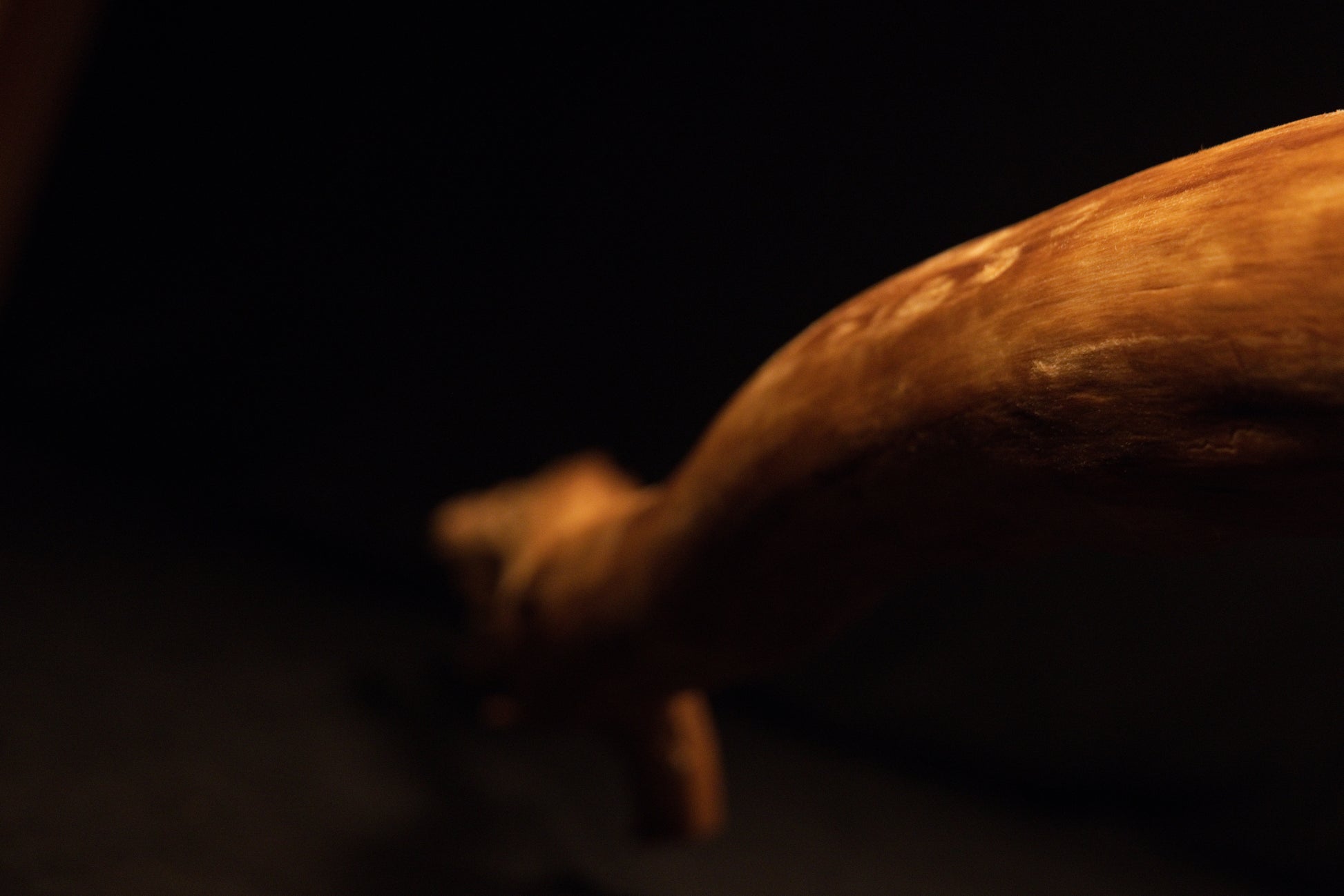 Detailed documentation of the stabilized root's organic grain flow, capturing tactile surface quality and rich warm wood hues. 