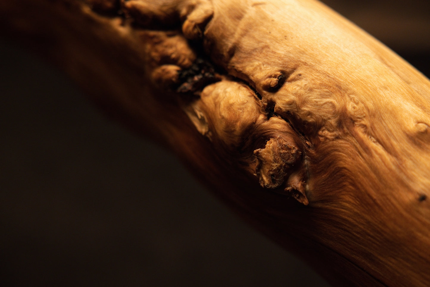 Detailed macro view capturing complex bark knots and organic burls embedded securely within the natural timber root surface area. 