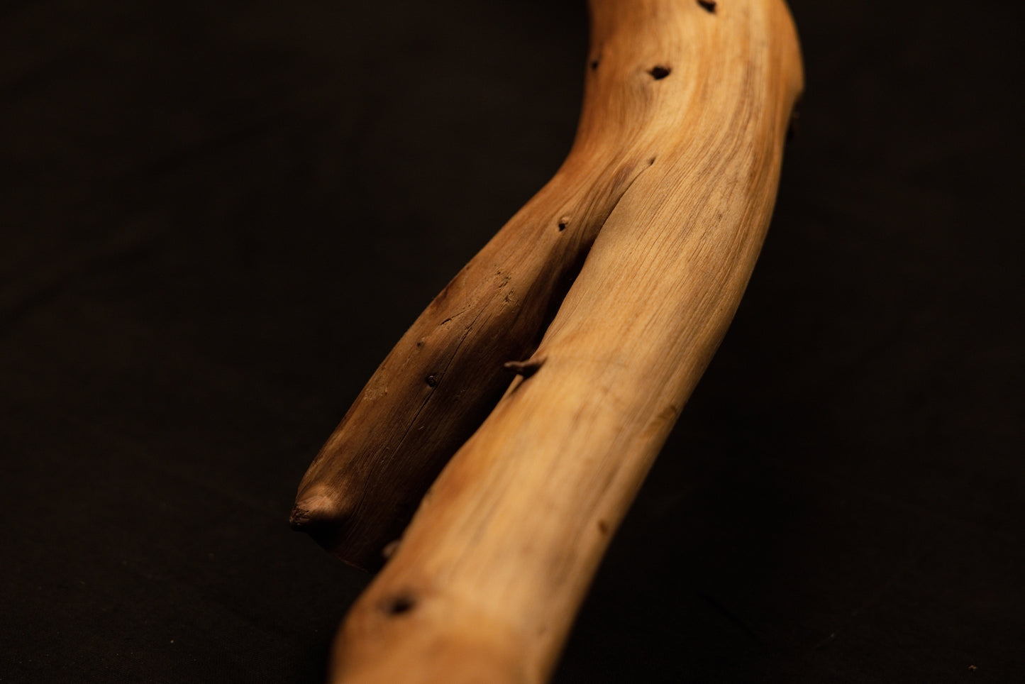 Macro photograph tracking the parallel run of two branching root segments showcasing smooth longitudinal timber grain fibers. 