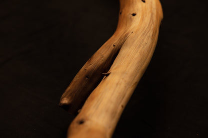 Macro photograph tracking the parallel run of two branching root segments showcasing smooth longitudinal timber grain fibers. 