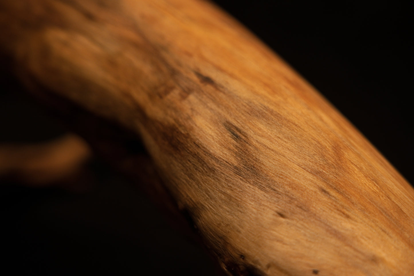 Macro photograph capturing fine longitudinal grain lines and smooth tactile polish across the organic wooden sculpture piece. 