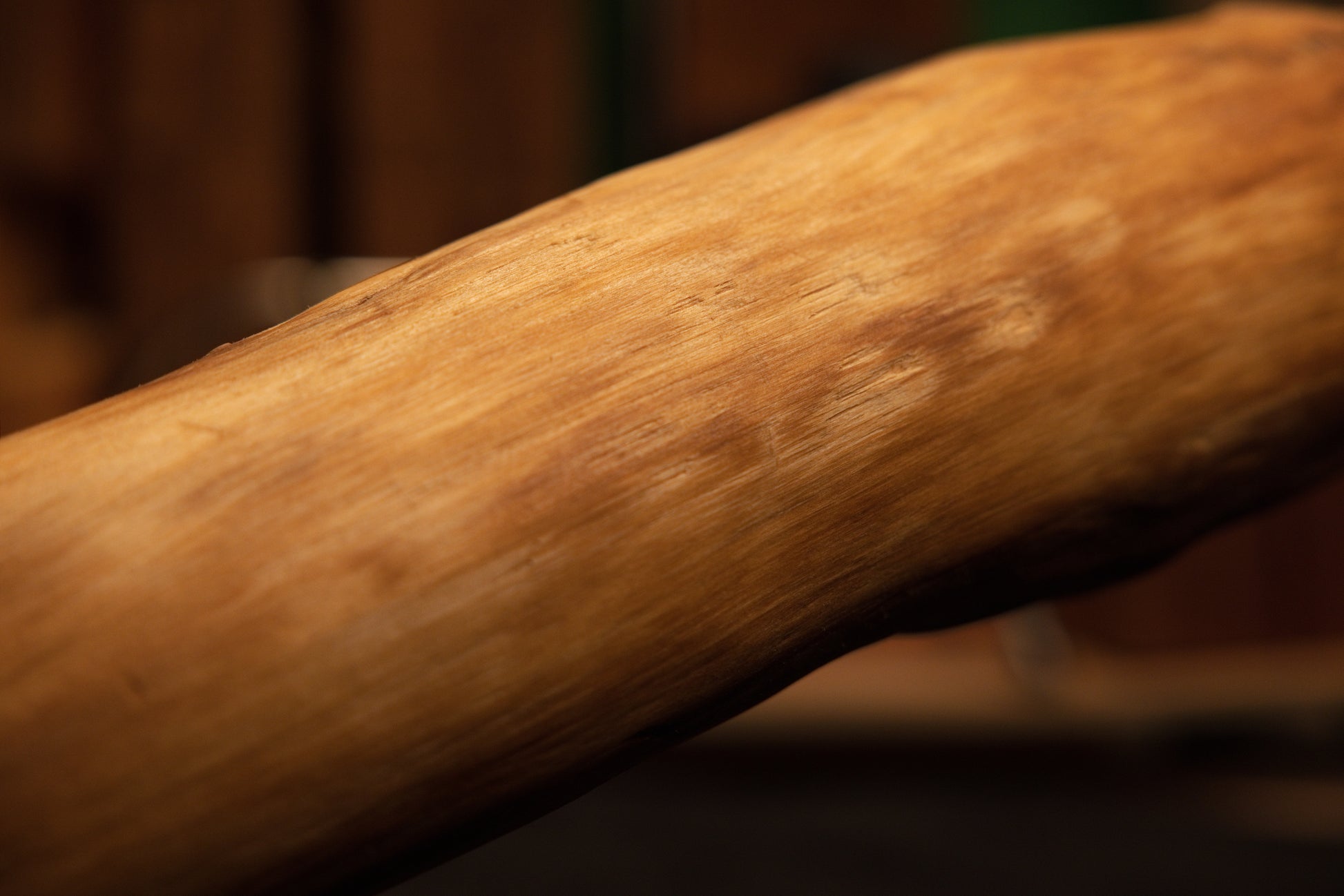 Close-up macro study of uniform timber grain orientation, emphasizing stable structural preservation and rich tactile warmth. 
