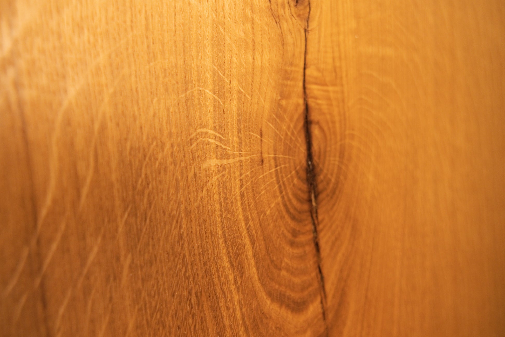 Macro view of an organic wood knot surrounded by expanding rippling grain patterns on the custom solid oak architectural piece.
