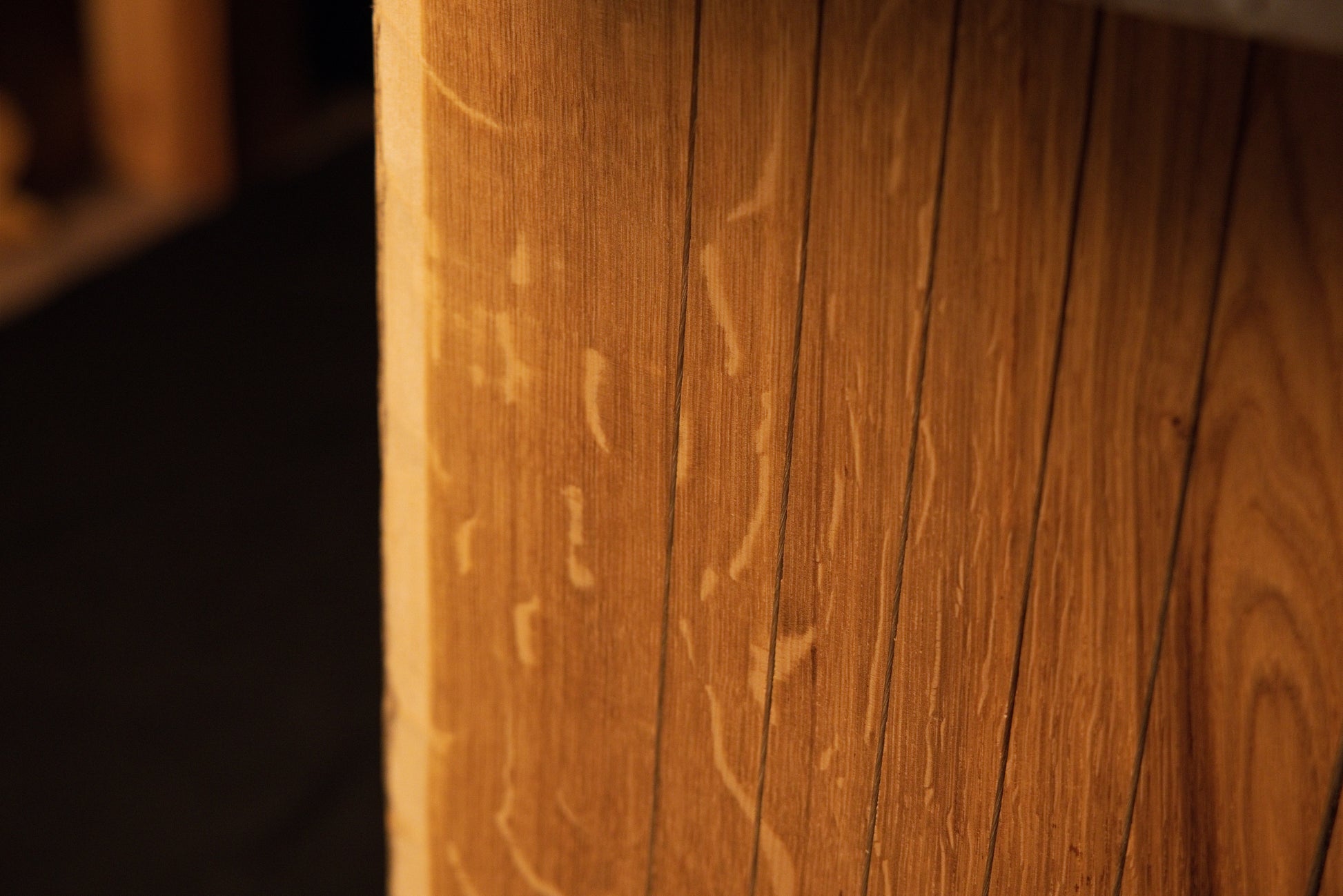 Close-up macro focusing on erratic organic biological markings traversing the vertical grain lines of the custom oak panel. 