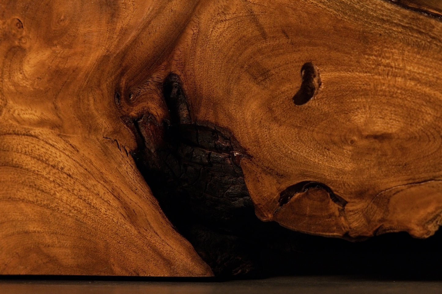 An expansive dark organic cavity opens dramatically within the smooth, flowing perimeter contours of the root slab.  