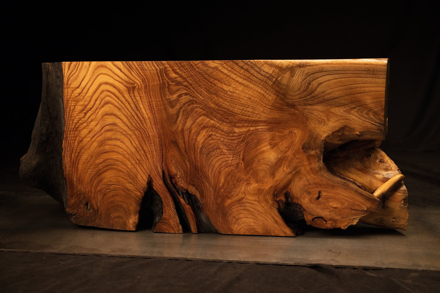 Broad front view of a massive biophilic root monolith featuring complex swirling grain and dark cavities on a metal base.  
