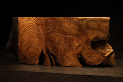 Comprehensive profile perspective showcasing the striking architectural geometry and dark void cavities of the root.  