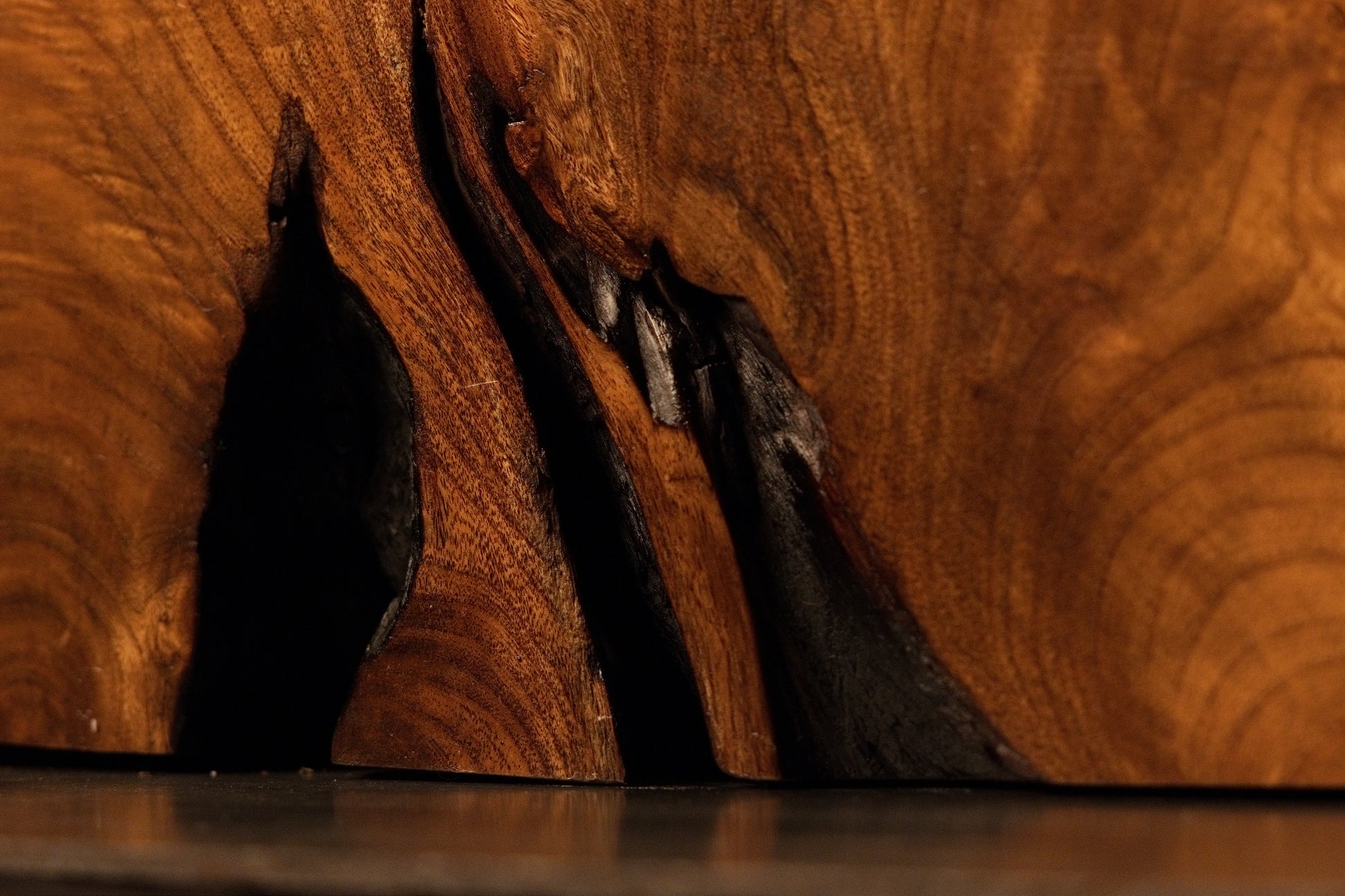 Weathered dark hollows and deep organic crevices split dramatically across the warm-toned polished hardwood surface.  