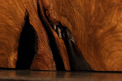 Weathered dark hollows and deep organic crevices split dramatically across the warm-toned polished hardwood surface.  