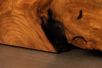 Low perspective tracking an organic hollow opening naturally near the grounded base of the massive root centerpiece.  