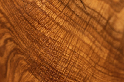 High-magnification texture view revealing tightly packed cellular grain structures and shimmering chatoyant highlights.  