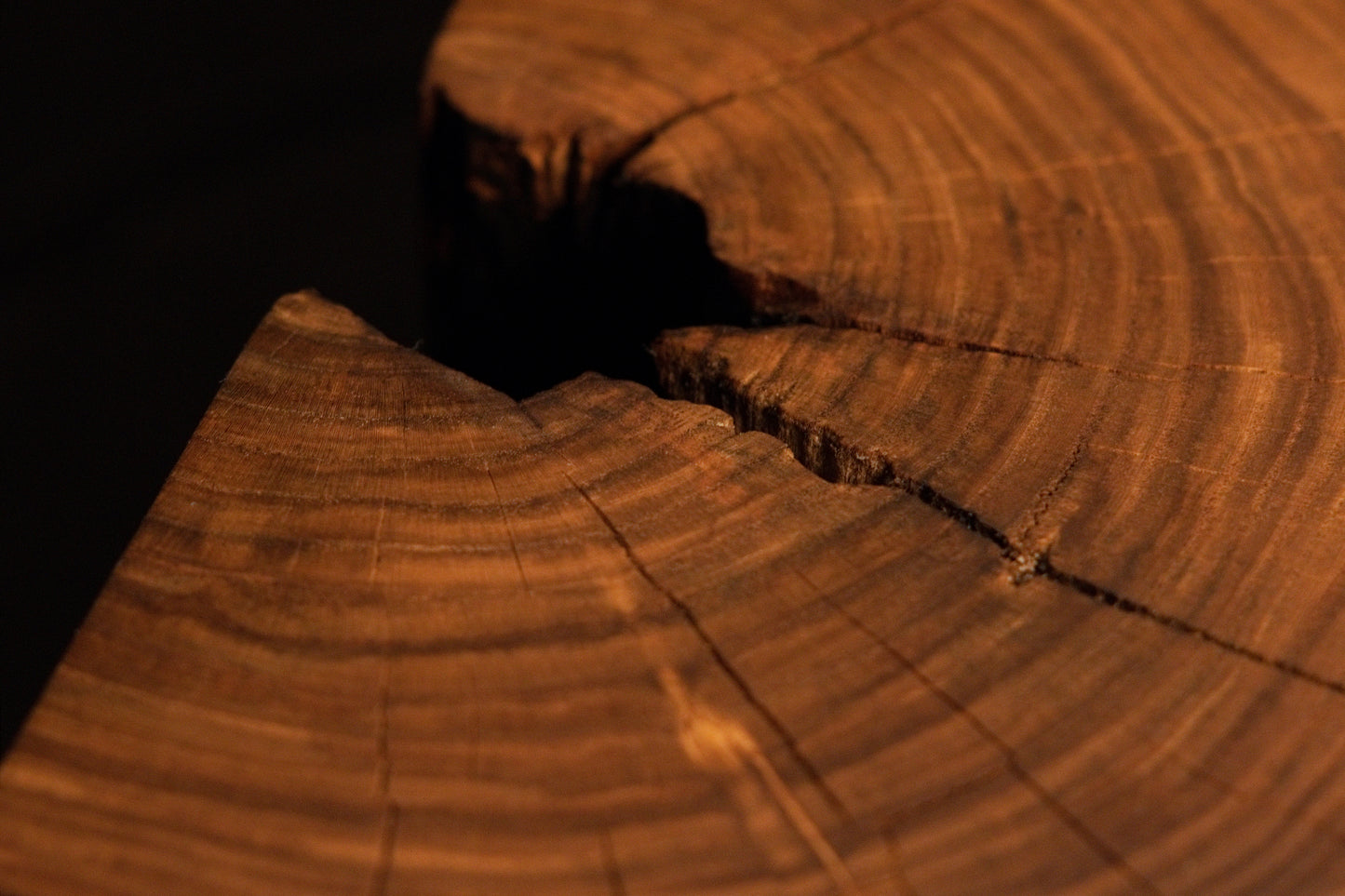 Concentric growth rings and delicate radial fissures spread gracefully across the face of a solid circular log section.  