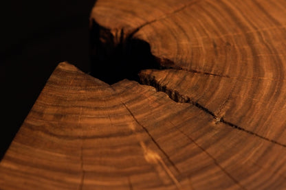 Concentric growth rings and delicate radial fissures spread gracefully across the face of a solid circular log section.  