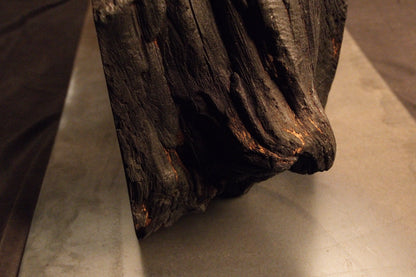 Side perspective of a heavily textured, dark weathered root section resting securely upon a sleek metallic base plate.  